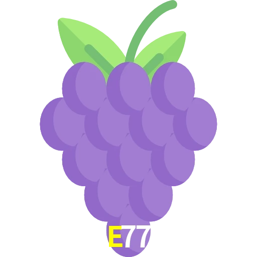 E77